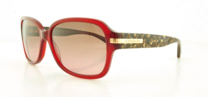Picture of Coach Sunglasses HC8105