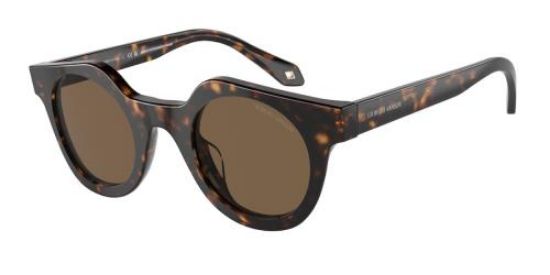 Picture of Giorgio Armani Sunglasses AR8191U