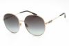 Picture of Jimmy Choo Sunglasses BIRDIE/S