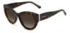 Picture of Jimmy Choo Sunglasses XENA/S
