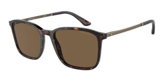 Picture of Giorgio Armani Sunglasses AR8197F