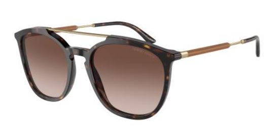 Picture of Giorgio Armani Sunglasses AR8198