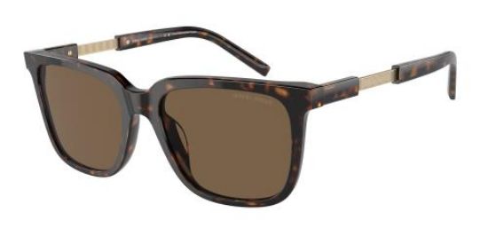 Picture of Giorgio Armani Sunglasses AR8202U