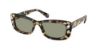 Picture of Swarovski Sunglasses SK6008