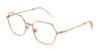 Picture of Swarovski Eyeglasses SK1011