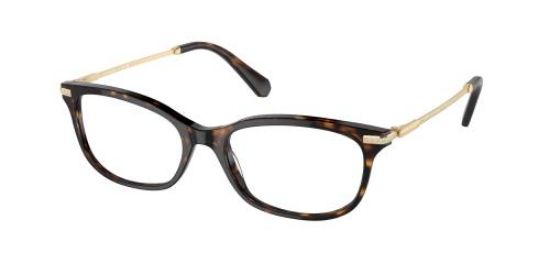 Picture of Swarovski Eyeglasses SK2017