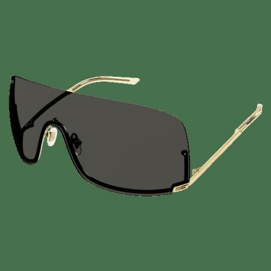 Picture of Gucci Sunglasses GG1560S