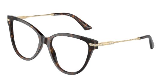 Picture of Jimmy Choo Eyeglasses JC3001B
