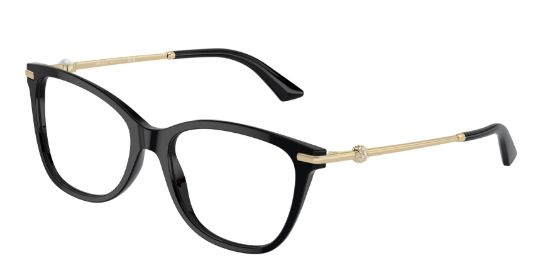 Picture of Jimmy Choo Eyeglasses JC3007HF