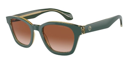Picture of Giorgio Armani Sunglasses AR8207F