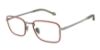 Picture of Giorgio Armani Eyeglasses AR5152J