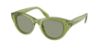 Picture of Swarovski Sunglasses SK6025