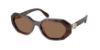 Picture of Swarovski Sunglasses SK6028F