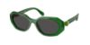 Picture of Swarovski Sunglasses SK6028F