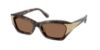 Picture of Swarovski Sunglasses SK6029