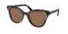 Picture of Swarovski Sunglasses SK6031F