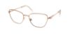 Picture of Swarovski Eyeglasses SK1018