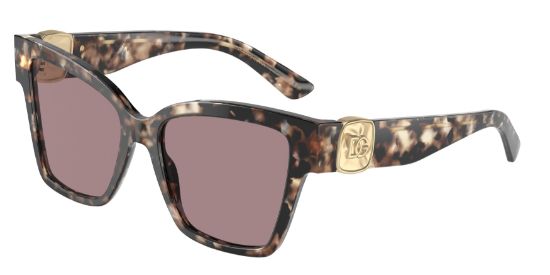 Picture of Dolce & Gabbana Sunglasses DG4470F
