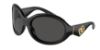 Picture of Dolce & Gabbana Sunglasses DG6201