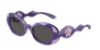 Picture of Dolce & Gabbana Sunglasses DX6005