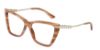 Picture of Jimmy Choo Eyeglasses JC3020B