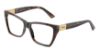 Picture of Jimmy Choo Eyeglasses JC3028