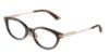 Picture of Jimmy Choo Eyeglasses JC3029D