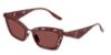 Picture of Dolce & Gabbana Sunglasses DG2311