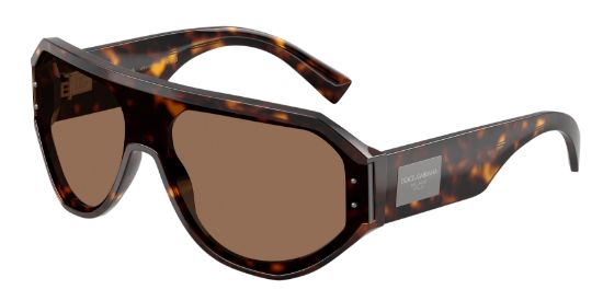 Picture of Dolce & Gabbana Sunglasses DG4481
