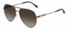 Picture of Jimmy Choo Sunglasses OLLY/S