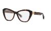 Picture of Roberto Cavalli Eyeglasses VRC099
