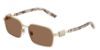 Picture of Dolce & Gabbana Sunglasses DG2316