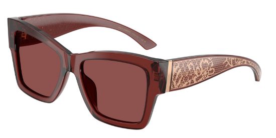 Picture of Dolce & Gabbana Sunglasses DG4493
