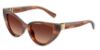 Picture of Dolce & Gabbana Sunglasses DG4497