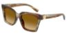 Picture of Dolce & Gabbana Sunglasses DG4498