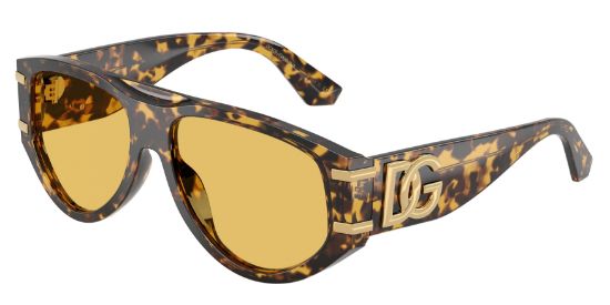 Picture of Dolce & Gabbana Sunglasses DG4499