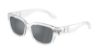 Picture of Dolce & Gabbana Sunglasses DX6009