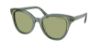 Picture of Swarovski Sunglasses SK6031