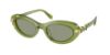 Picture of Swarovski Sunglasses SK6042