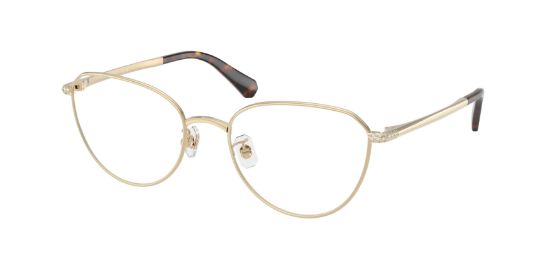 Picture of Swarovski Eyeglasses SK1029D