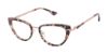 Picture of Alexander Collection Eyeglasses BETTY