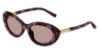 Picture of Dolce & Gabbana Sunglasses DG4519