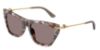 Picture of Dolce & Gabbana Sunglasses DG4511