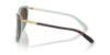 Picture of Ralph Sunglasses RA5150