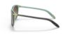 Picture of Ralph Sunglasses RA5160