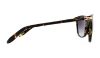 Picture of Ralph Sunglasses RA5160