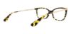 Picture of Dolce & Gabbana Eyeglasses DG3243