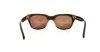 Picture of Tom Ford Sunglasses FT0237 Snowdon