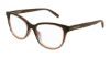 Picture of Saint Laurent Eyeglasses SL 504