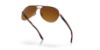 Picture of Oakley Sunglasses FEEDBACK